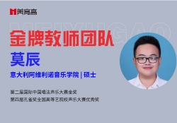 金(jīn)牌音(yīn)樂(yuè)教師(shī)-莫辰